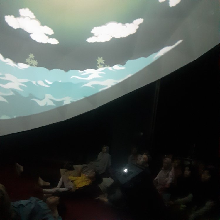 PLANET DOME STUDIO AMPHIBI