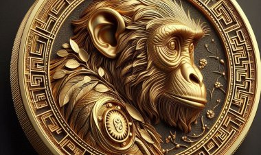 EKSPERIMEN DESAIN COIN